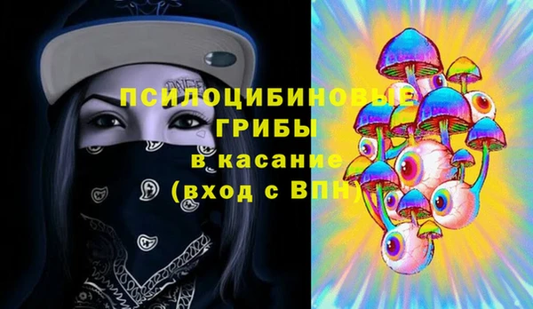 гидра Белокуриха