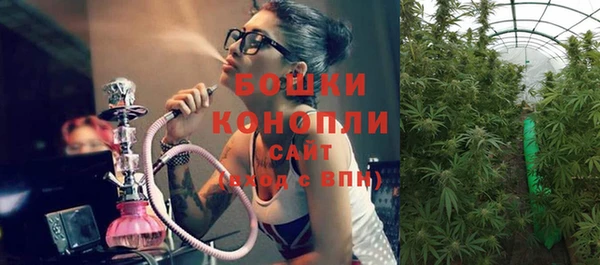 гидра Белокуриха