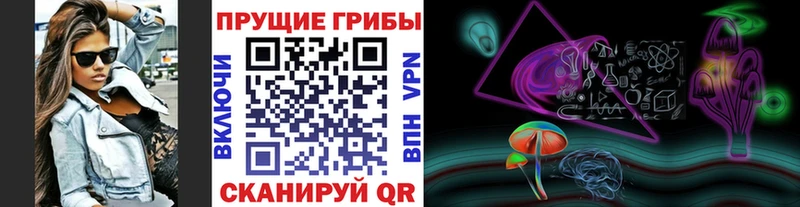 Галлюциногенные грибы Psilocybe  даркнет сайт  Высоковск 