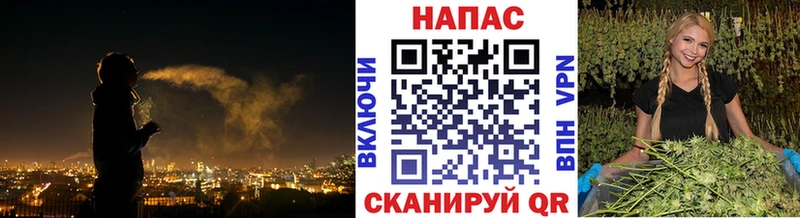 купить наркотики сайты  Высоковск  площадка формула  Конопля ГИДРОПОН 